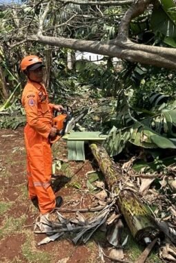 Cuaca Ekstrem di Awal Agustus: Dampak, Data, dan Strategi Menghadapi Bencana