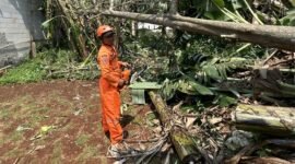 Warga Bogor bergotong royong memperbaiki rumah yang rusak akibat angin kencang pada awal Agustus 2025. (Dok. BPBD Kabupaten Bogor)